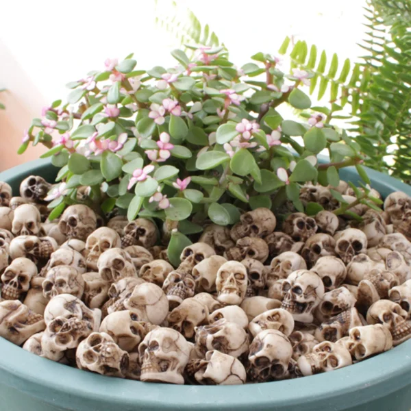 Lot de 20 petits crânes décoratifs