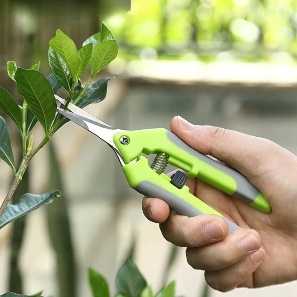 Petit sécateur de jardin en métal pour taille et entretien