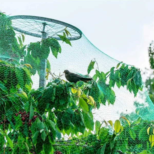 Filet de protection anti-oiseaux