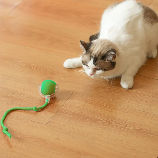 Balle interactive automatisée pour chat