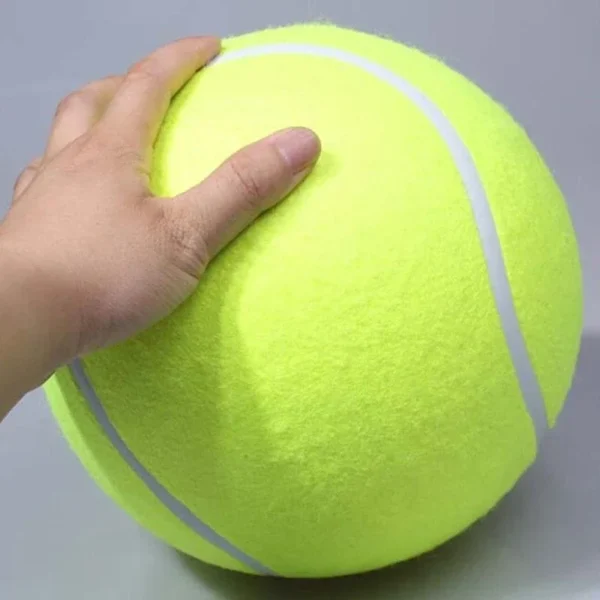 Image du produit